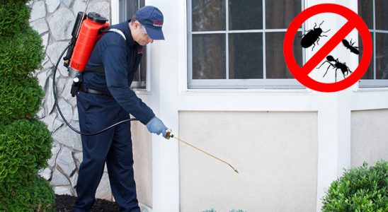 Germiyan Kemirgen İlaçlama böcek ilaçlama ve haşere kontrolü — ilaclama-tr.com